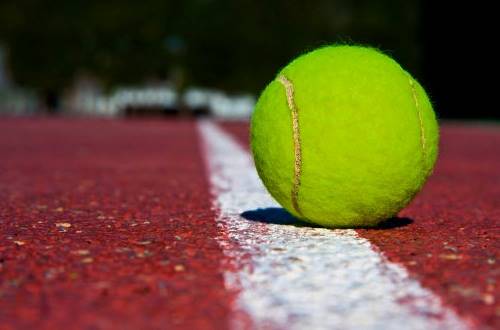 Doi tenismeni – la Campionatele Naționale